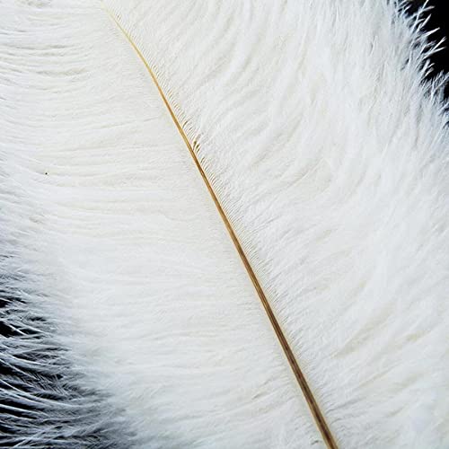 10pcs Large Ostrich Feathers 16-18 inch 40-45 cm Fluffy Feather for Crafts Home Party Decoration Wedding Centerpieces Clothes Vase Decor (White)
