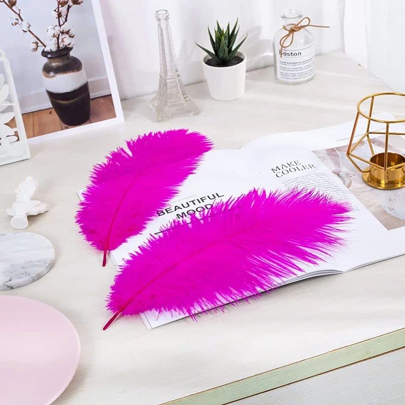 10pcs Large Ostrich Feathers 16-18 inch 40-45 cm Fluffy Feather for Crafts Home Party Decoration Wedding Centerpieces Clothes Vase Decor (White)