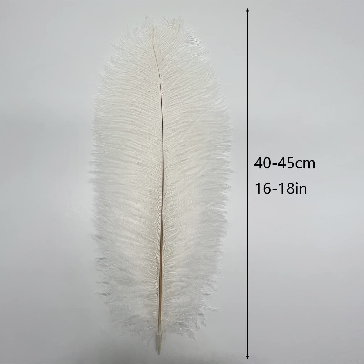 10pcs Large Ostrich Feathers 16-18 inch 40-45 cm Fluffy Feather for Crafts Home Party Decoration Wedding Centerpieces Clothes Vase Decor (White)