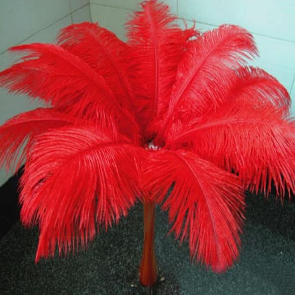 10pcs Large Ostrich Feathers 16-18 inch 40-45 cm Fluffy Feather for Crafts Home Party Decoration Wedding Centerpieces Clothes Vase Decor (White)
