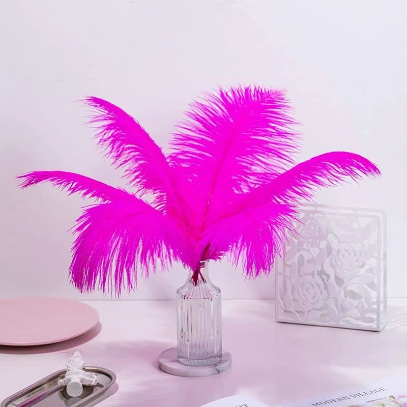 10pcs Large Ostrich Feathers 16-18 inch 40-45 cm Fluffy Feather for Crafts Home Party Decoration Wedding Centerpieces Clothes Vase Decor (White)