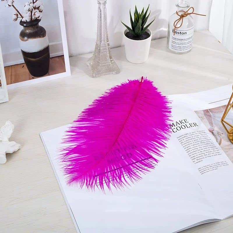 10pcs Large Ostrich Feathers 16-18 inch 40-45 cm Fluffy Feather for Crafts Home Party Decoration Wedding Centerpieces Clothes Vase Decor (White)