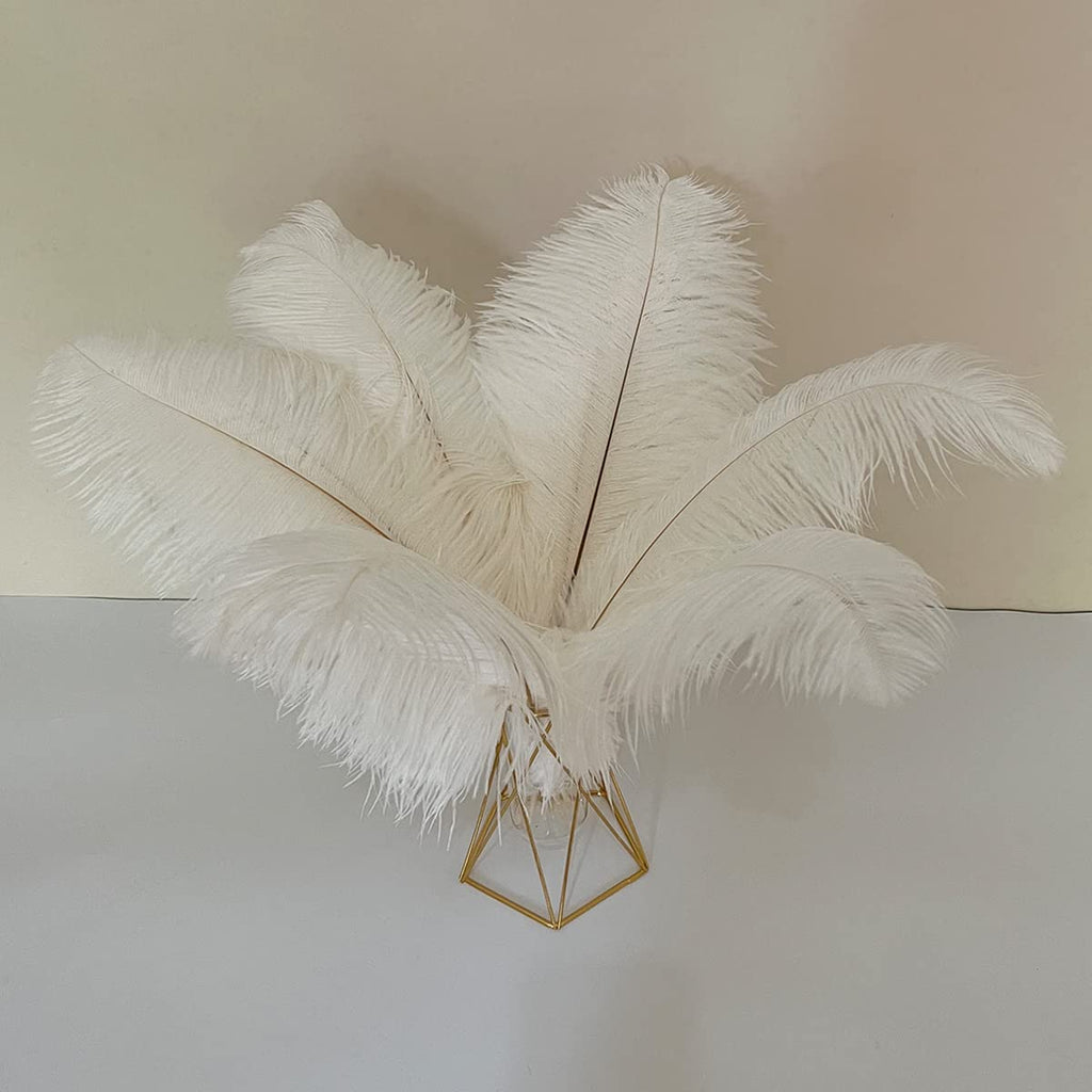 10pcs Large Ostrich Feathers 16-18 inch 40-45 cm Fluffy Feather for Crafts Home Party Decoration Wedding Centerpieces Clothes Vase Decor (White)