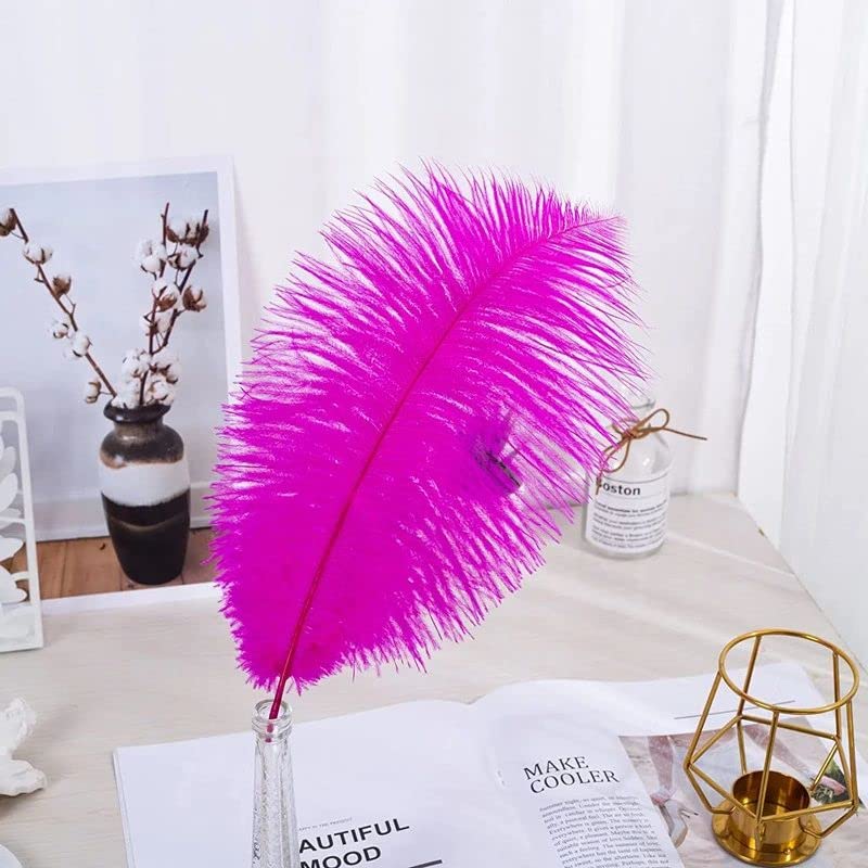 10pcs Large Ostrich Feathers 16-18 inch 40-45 cm Fluffy Feather for Crafts Home Party Decoration Wedding Centerpieces Clothes Vase Decor (White)