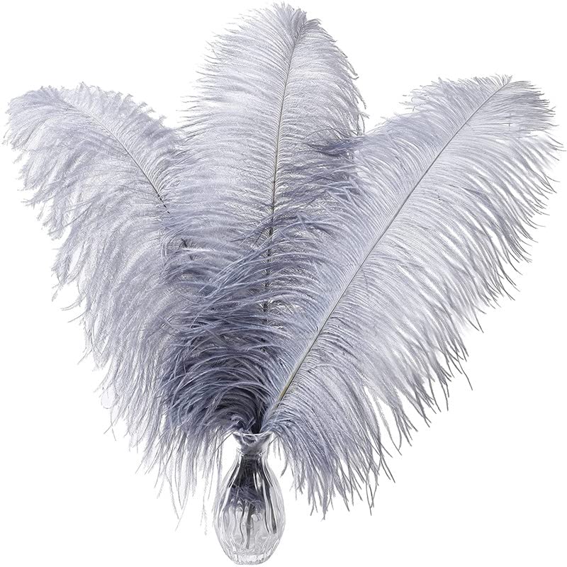10pcs Large Ostrich Feathers 16-18 inch 40-45 cm Fluffy Feather for Crafts Home Party Decoration Wedding Centerpieces Clothes Vase Decor (White)