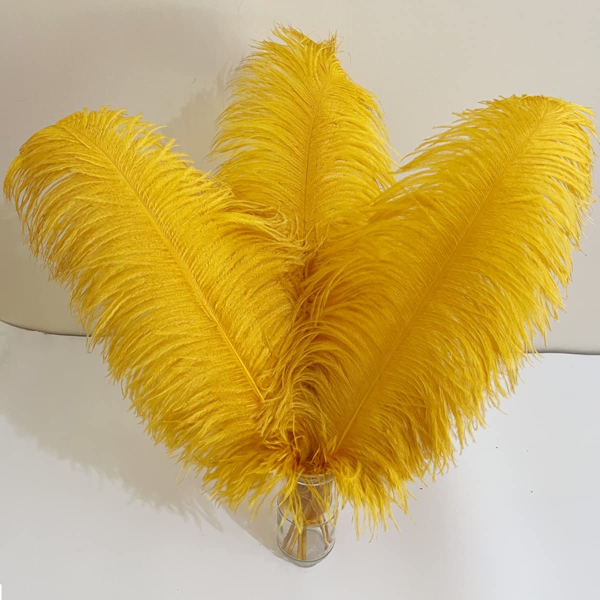 10pcs Large Ostrich Feathers 16-18 inch 40-45 cm Fluffy Feather for Crafts Home Party Decoration Wedding Centerpieces Clothes Vase Decor (White)