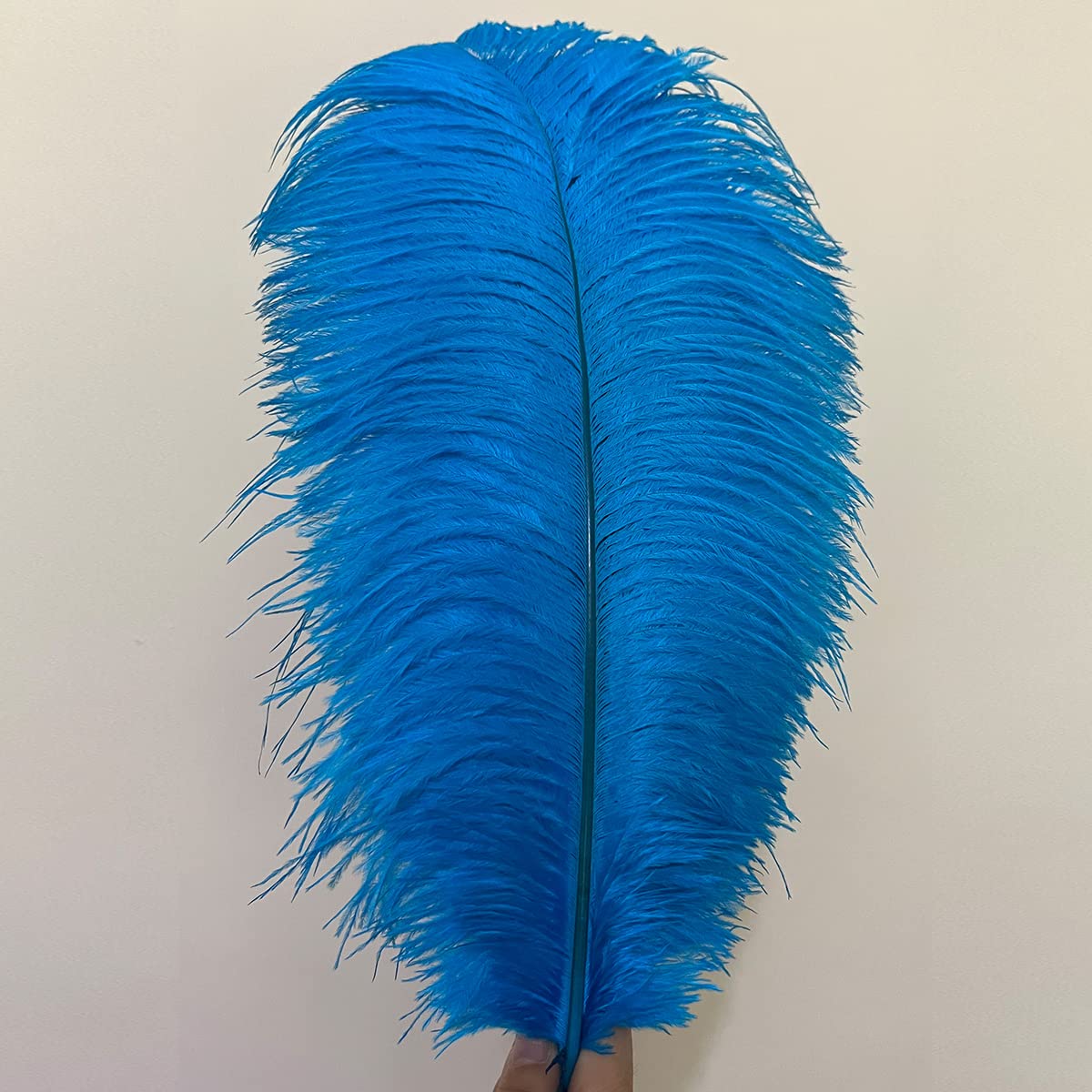 10pcs Large Ostrich Feathers 16-18 inch 40-45 cm Fluffy Feather for Crafts Home Party Decoration Wedding Centerpieces Clothes Vase Decor (White)