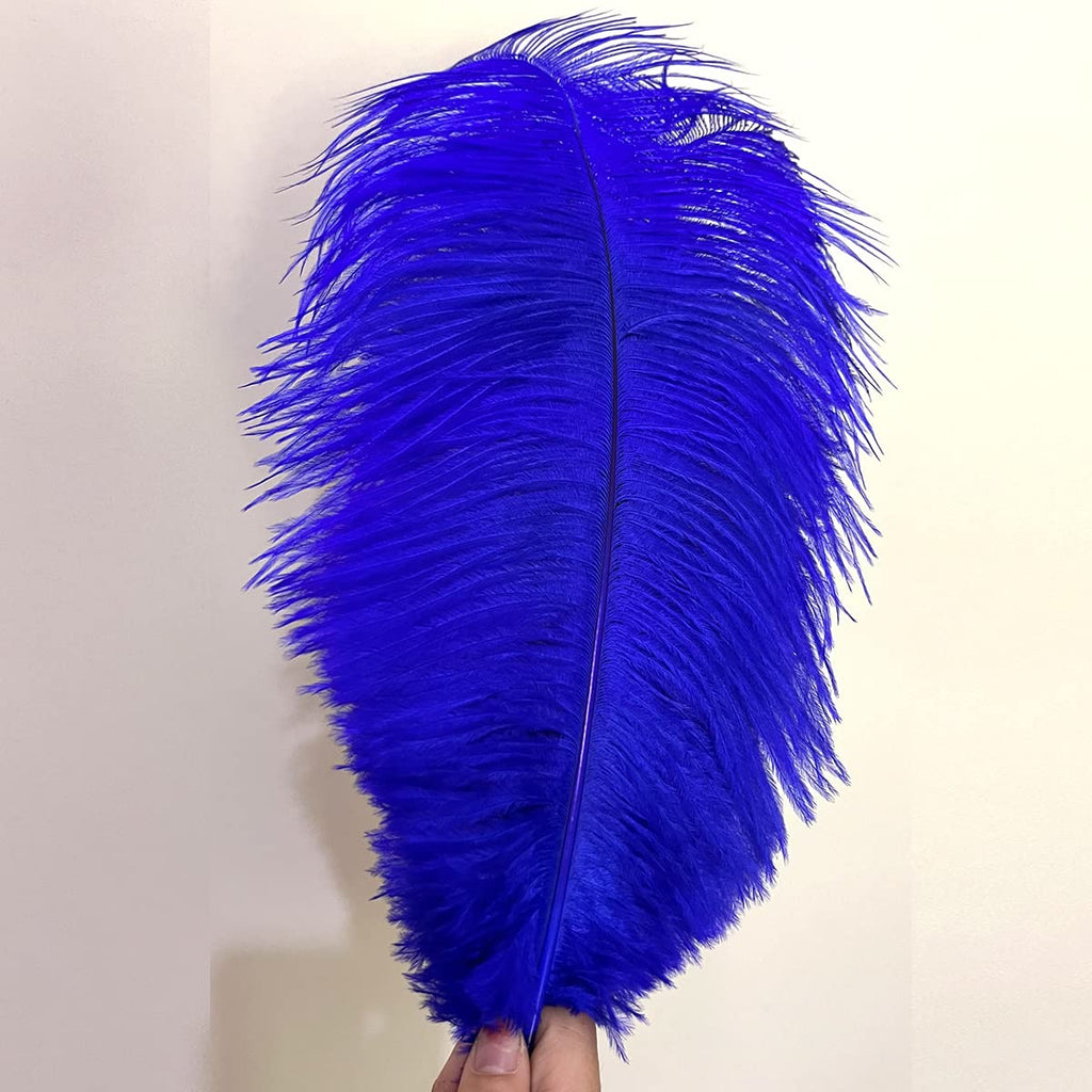 10pcs Large Ostrich Feathers 16-18 inch 40-45 cm Fluffy Feather for Crafts Home Party Decoration Wedding Centerpieces Clothes Vase Decor (White)
