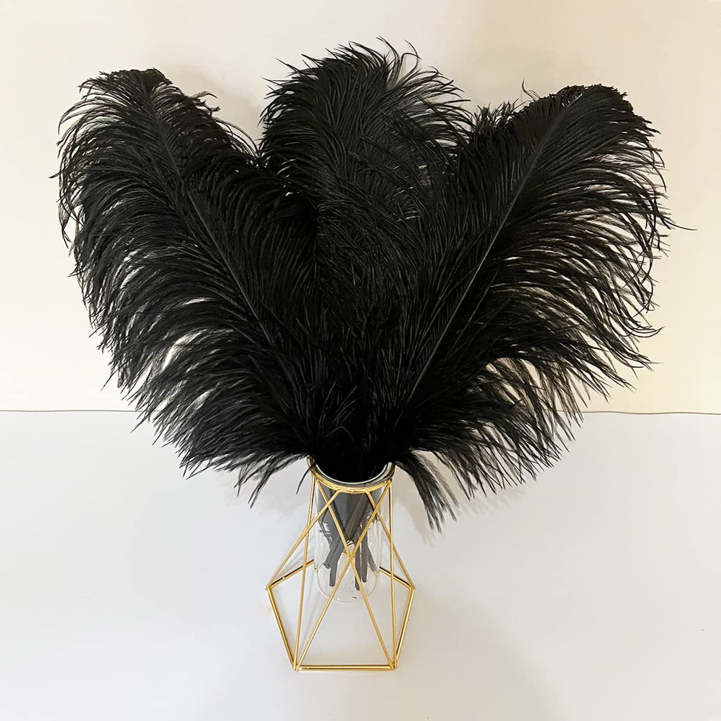 10pcs Large Ostrich Feathers 16-18 inch 40-45 cm Fluffy Feather for Crafts Home Party Decoration Wedding Centerpieces Clothes Vase Decor (White)