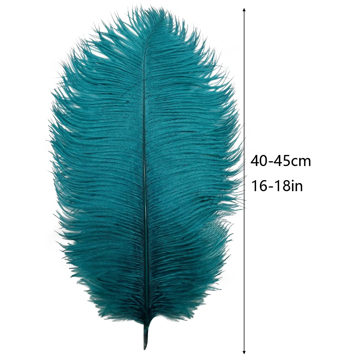 10pcs Large Ostrich Feathers 16-18 inch 40-45 cm Fluffy Feather for Crafts Home Party Decoration Wedding Centerpieces Clothes Vase Decor (White)