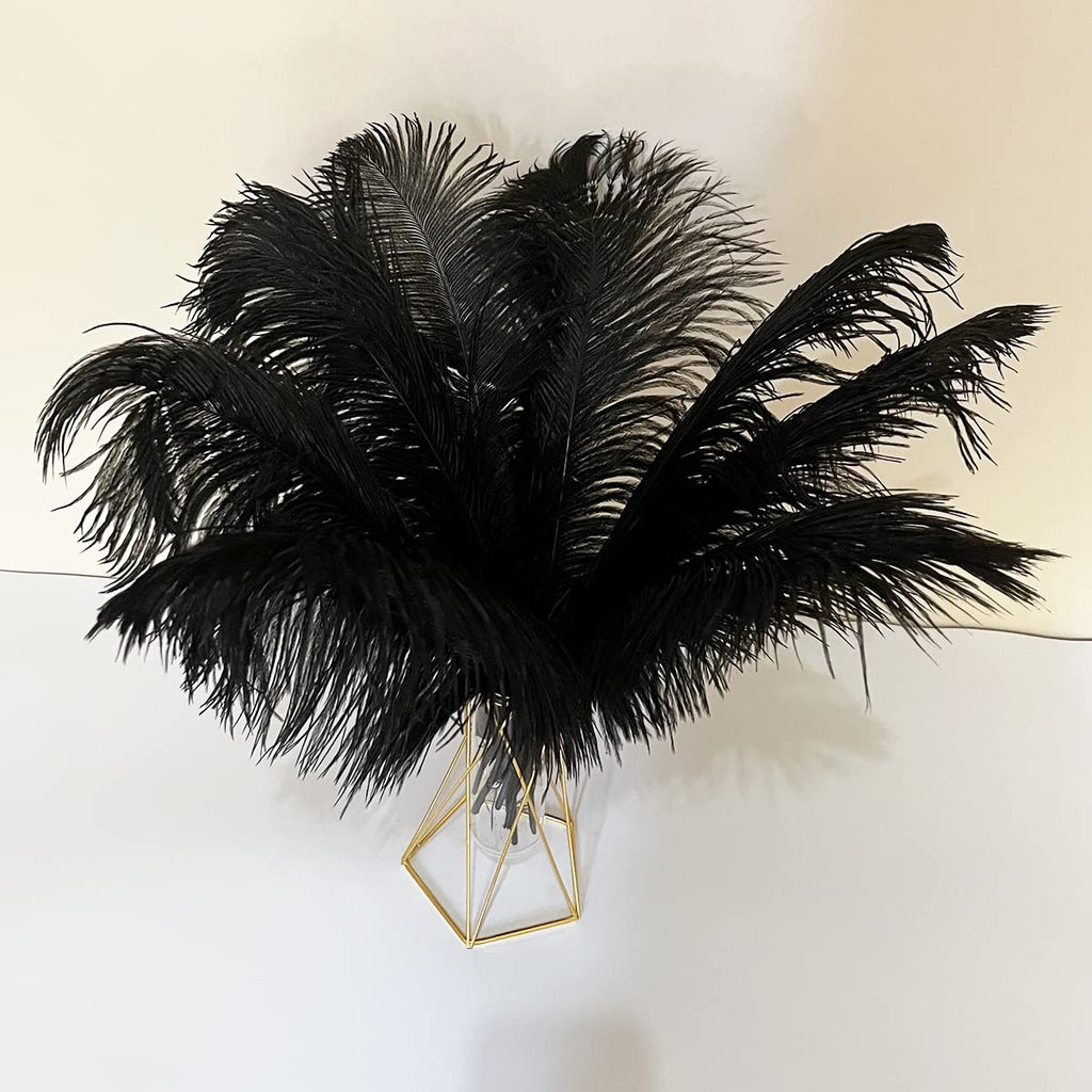10pcs Large Ostrich Feathers 16-18 inch 40-45 cm Fluffy Feather for Crafts Home Party Decoration Wedding Centerpieces Clothes Vase Decor (White)