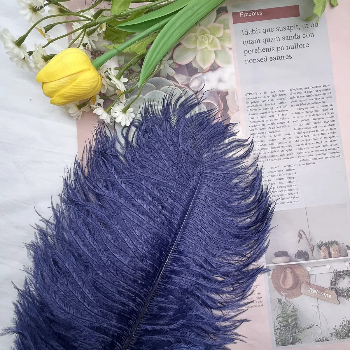 10pcs Large Ostrich Feathers 16-18 inch 40-45 cm Fluffy Feather for Crafts Home Party Decoration Wedding Centerpieces Clothes Vase Decor (White)