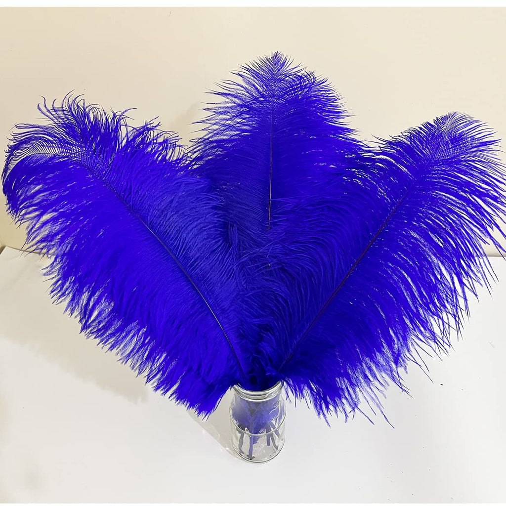 10pcs Large Ostrich Feathers 16-18 inch 40-45 cm Fluffy Feather for Crafts Home Party Decoration Wedding Centerpieces Clothes Vase Decor (White)