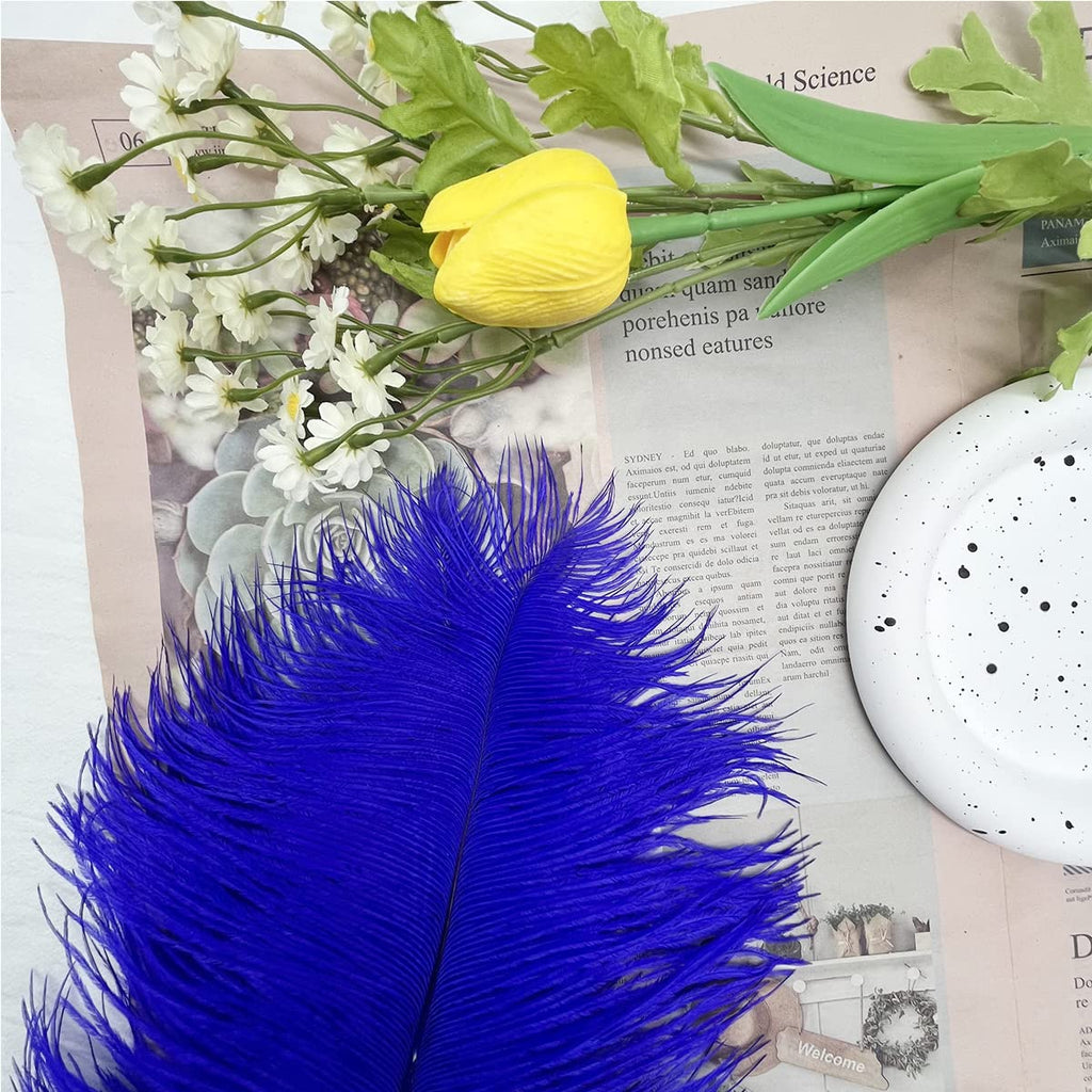 10pcs Large Ostrich Feathers 16-18 inch 40-45 cm Fluffy Feather for Crafts Home Party Decoration Wedding Centerpieces Clothes Vase Decor (White)
