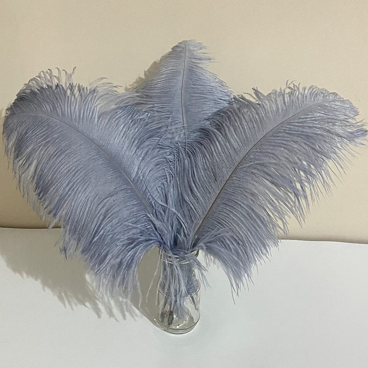 10pcs Large Ostrich Feathers 16-18 inch 40-45 cm Fluffy Feather for Crafts Home Party Decoration Wedding Centerpieces Clothes Vase Decor (White)