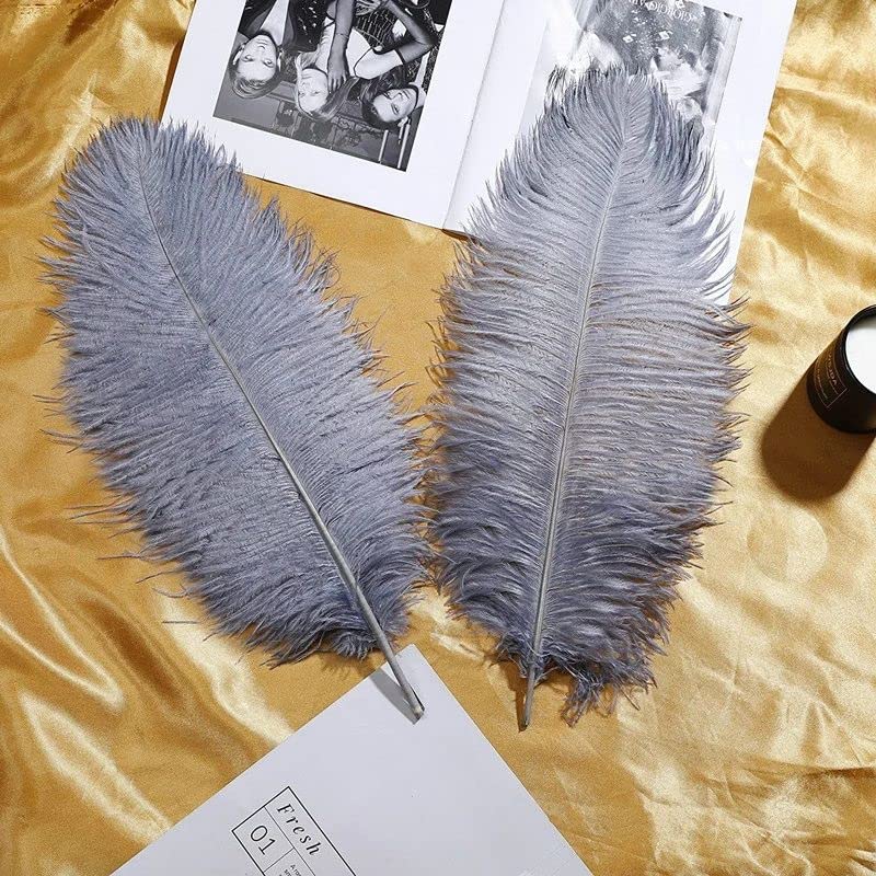 10pcs Large Ostrich Feathers 16-18 inch 40-45 cm Fluffy Feather for Crafts Home Party Decoration Wedding Centerpieces Clothes Vase Decor (White)