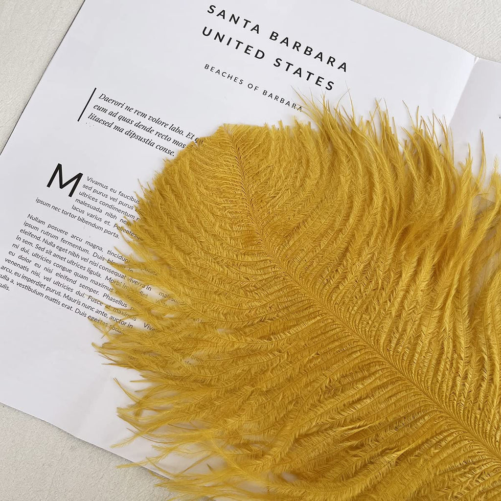 10pcs Large Ostrich Feathers 16-18 inch 40-45 cm Fluffy Feather for Crafts Home Party Decoration Wedding Centerpieces Clothes Vase Decor (White)