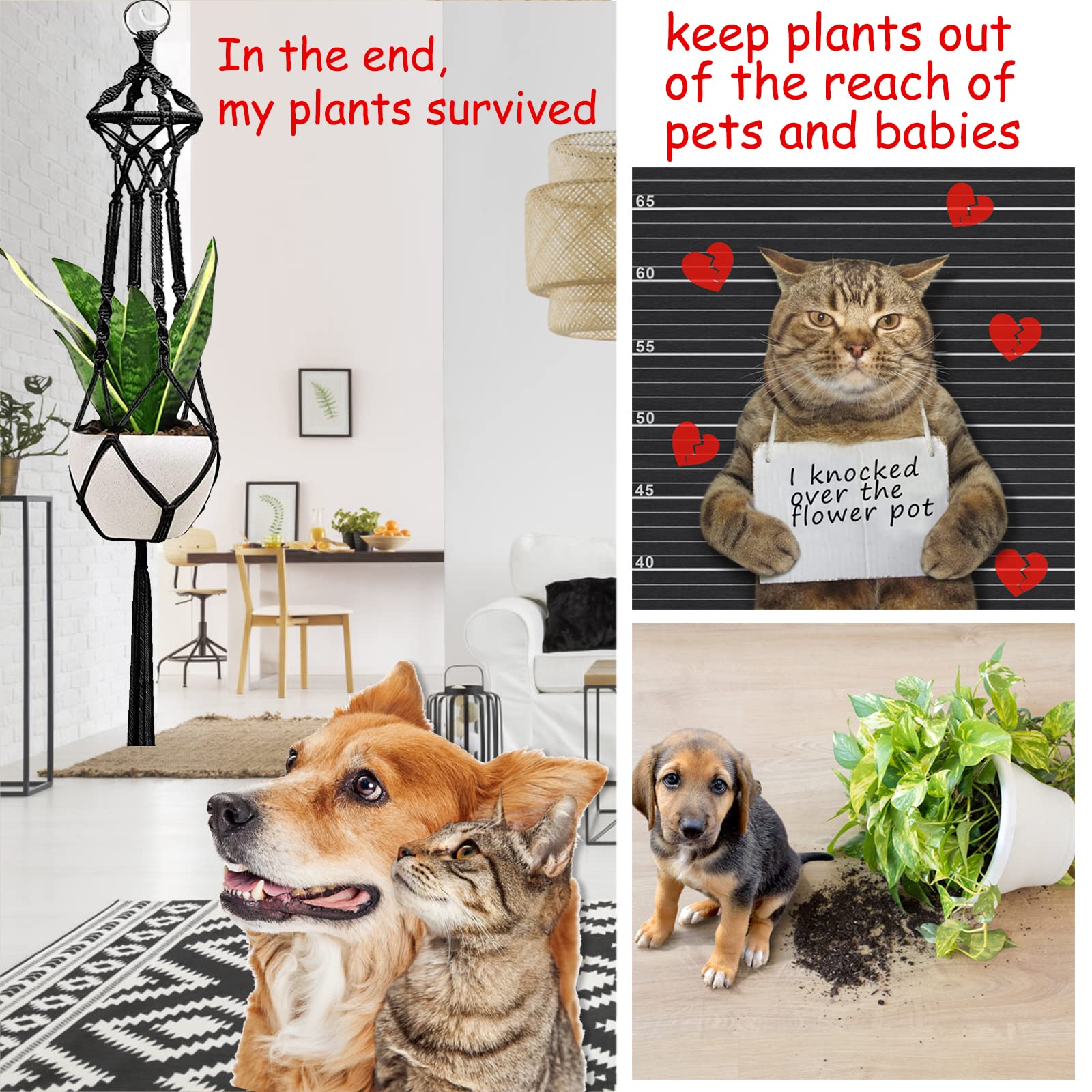 Macrame Plant Hangers, Hanging Planters Set of 5 with 5 Hooks, Hanging Planters for Indoor and Outdoor Plant Décor, Boho Decorations Hanging 8 pots of Plants (Black)