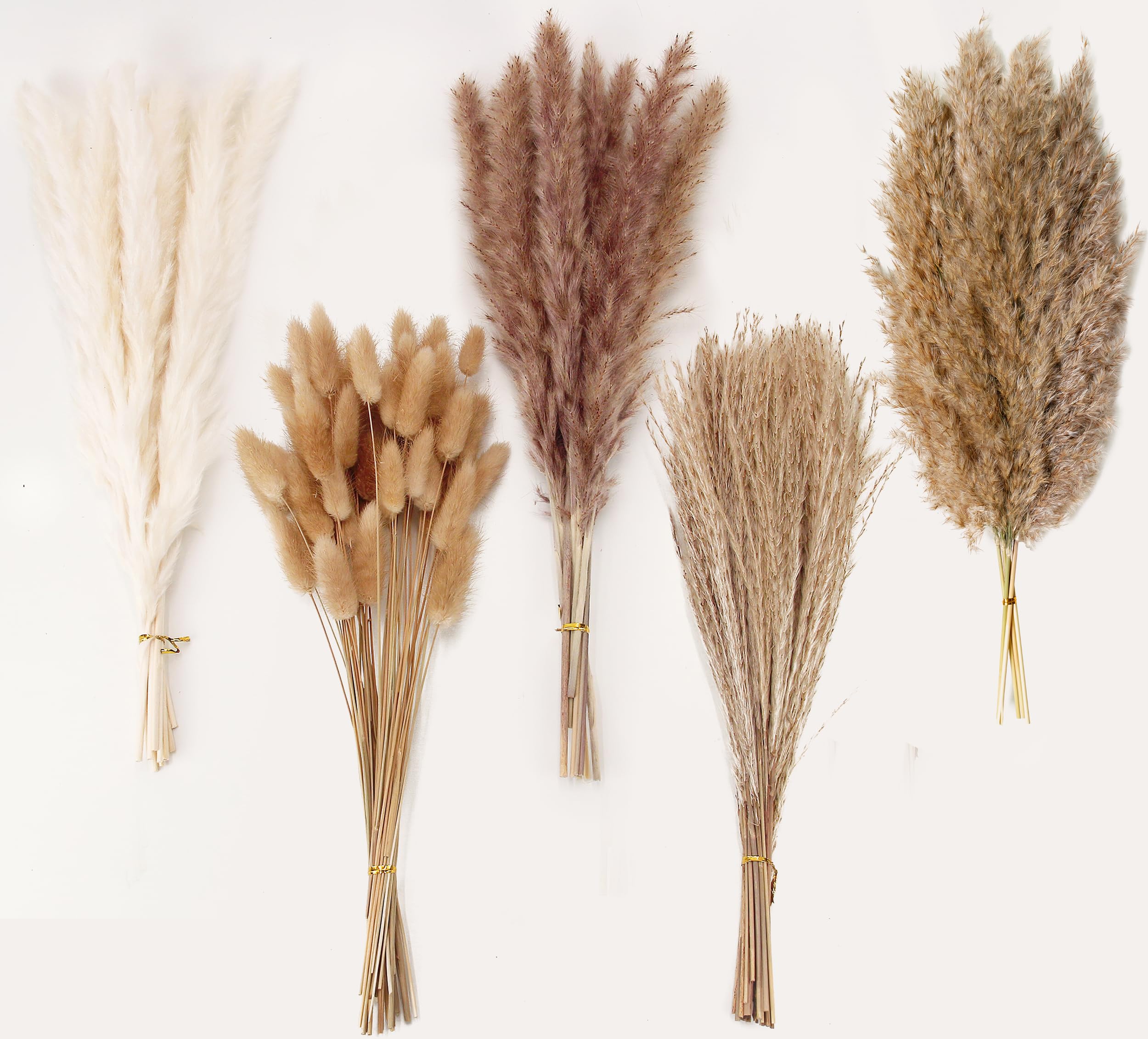 Artificial Pampas Grass Decor, 100 PCS Pampas Grass Contains Bunny Tails Dried Flowers, Reed Grass Bouquet for Wedding Boho Flowers Home Table Decor, Rustic Farmhouse Party (White and Brown)