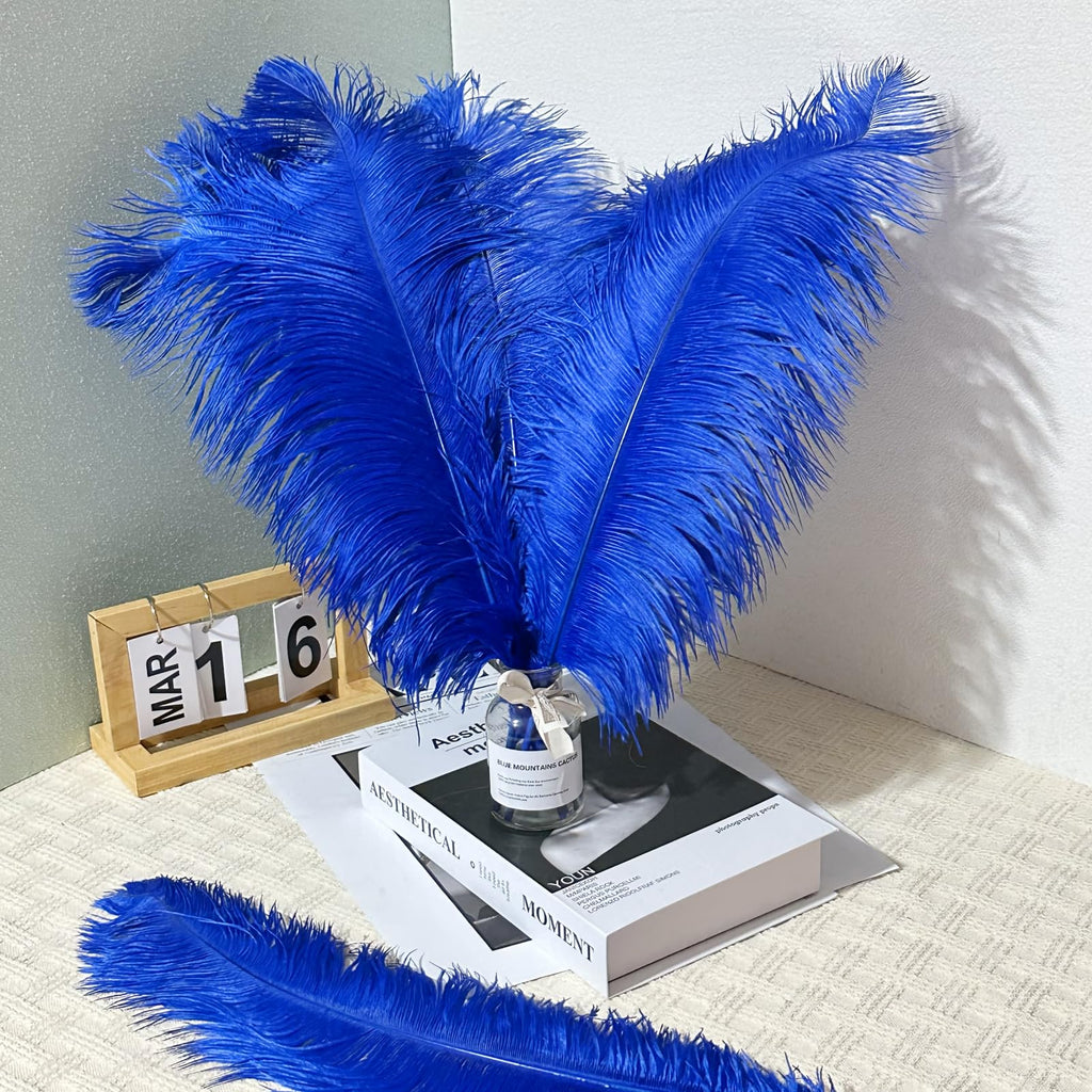 10pcs Large Ostrich Feathers 16-18 inch 40-45 cm Fluffy Feather for Crafts Home Party Decoration Wedding Centerpieces Clothes Vase Decor (White)