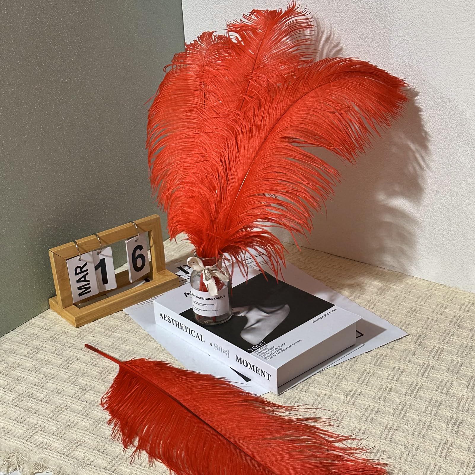 10pcs Large Ostrich Feathers 16-18 inch 40-45 cm Fluffy Feather for Crafts Home Party Decoration Wedding Centerpieces Clothes Vase Decor (White)