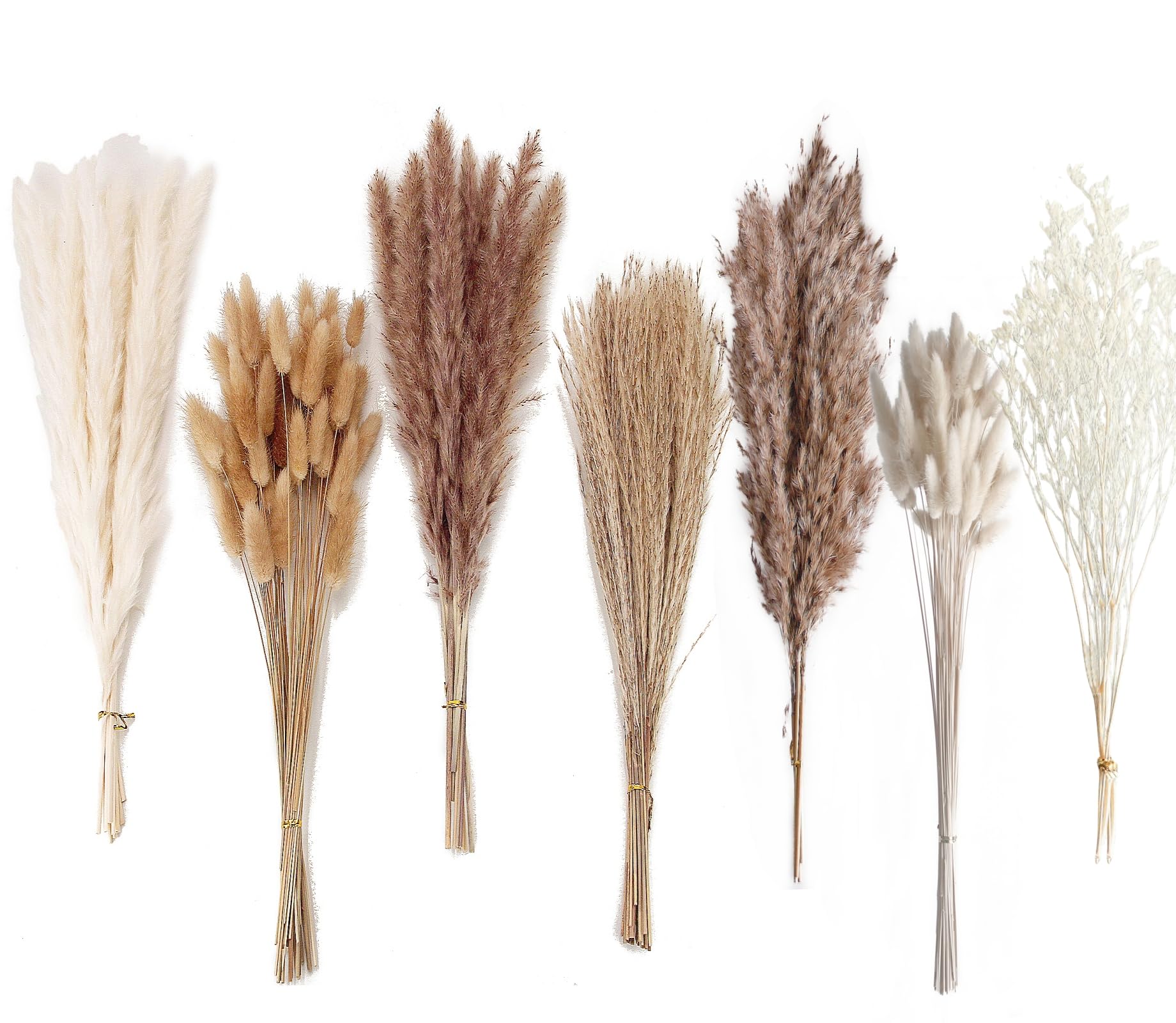 Artificial Pampas Grass Decor, 100 PCS Pampas Grass Contains Bunny Tails Dried Flowers, Reed Grass Bouquet for Wedding Boho Flowers Home Table Decor, Rustic Farmhouse Party (White and Brown)