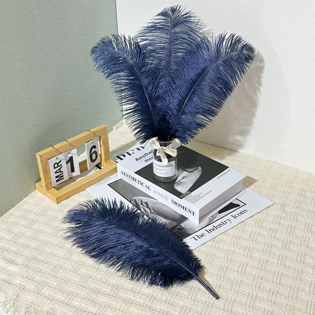 10pcs Large Ostrich Feathers 16-18 inch 40-45 cm Fluffy Feather for Crafts Home Party Decoration Wedding Centerpieces Clothes Vase Decor (White)