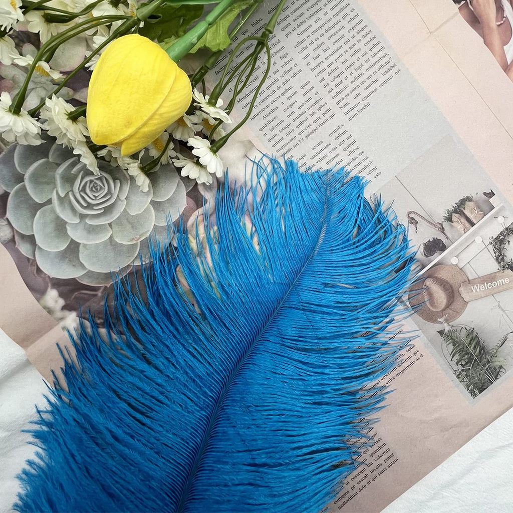 10pcs Large Ostrich Feathers 16-18 inch 40-45 cm Fluffy Feather for Crafts Home Party Decoration Wedding Centerpieces Clothes Vase Decor (White)